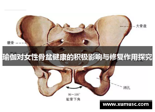 瑜伽对女性骨盆健康的积极影响与修复作用探究