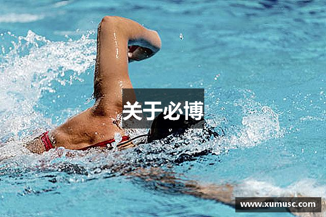 关于必博